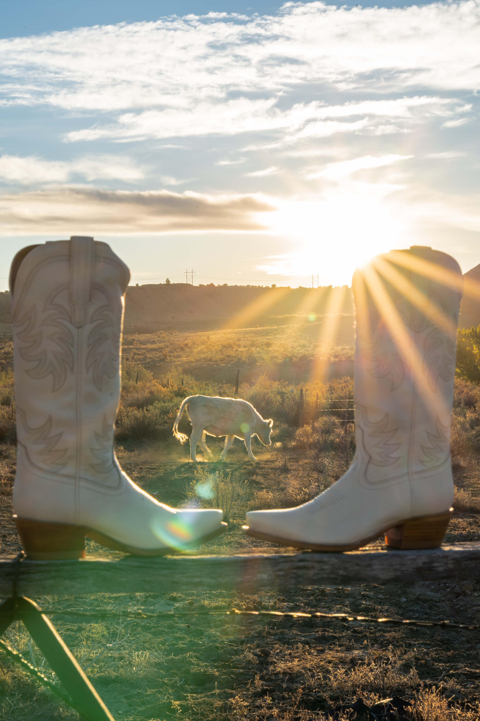 Pinto Ranch photography